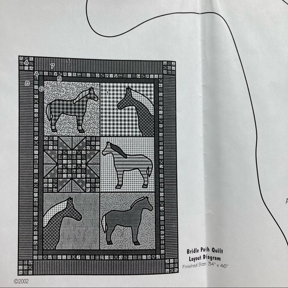 Quilt Pattern - Country Threads Bridle Path - Horse Throw or Wall Hanging - Picture 2 of 9